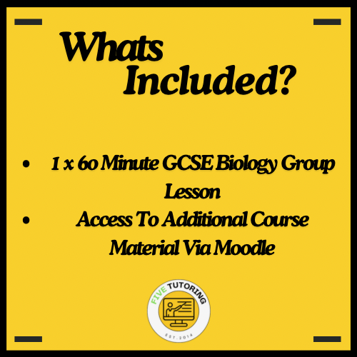 GCSE Group Lesson - Biology
